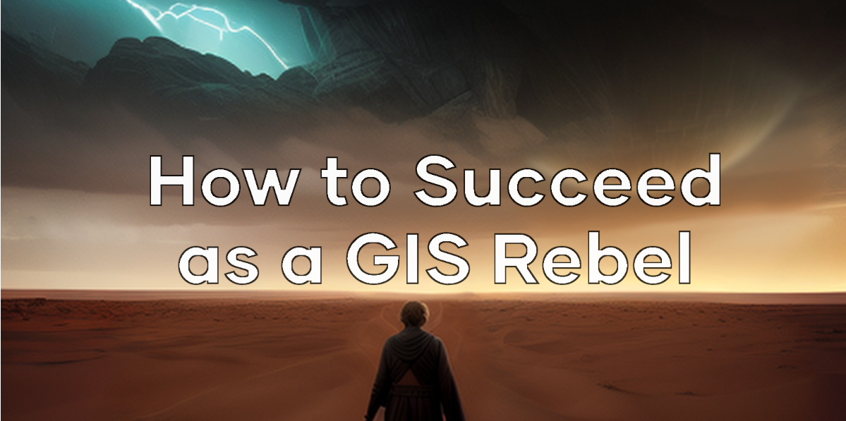 New book: How to Succeed as a GIS Rebel